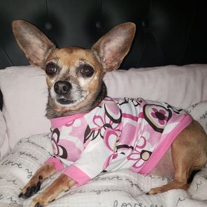 Meet your Posher, Pam